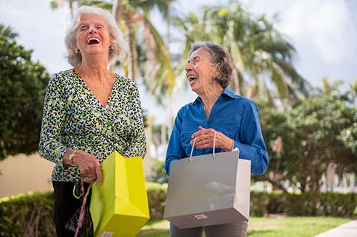 ladies-shopping